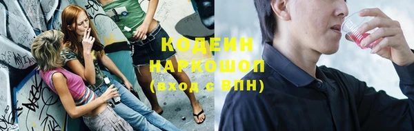 сатива Болотное