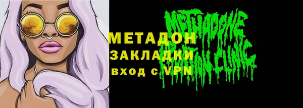 сатива Болотное