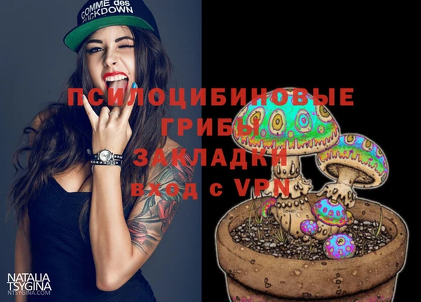apvp Протвино