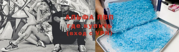 ешки Вяземский