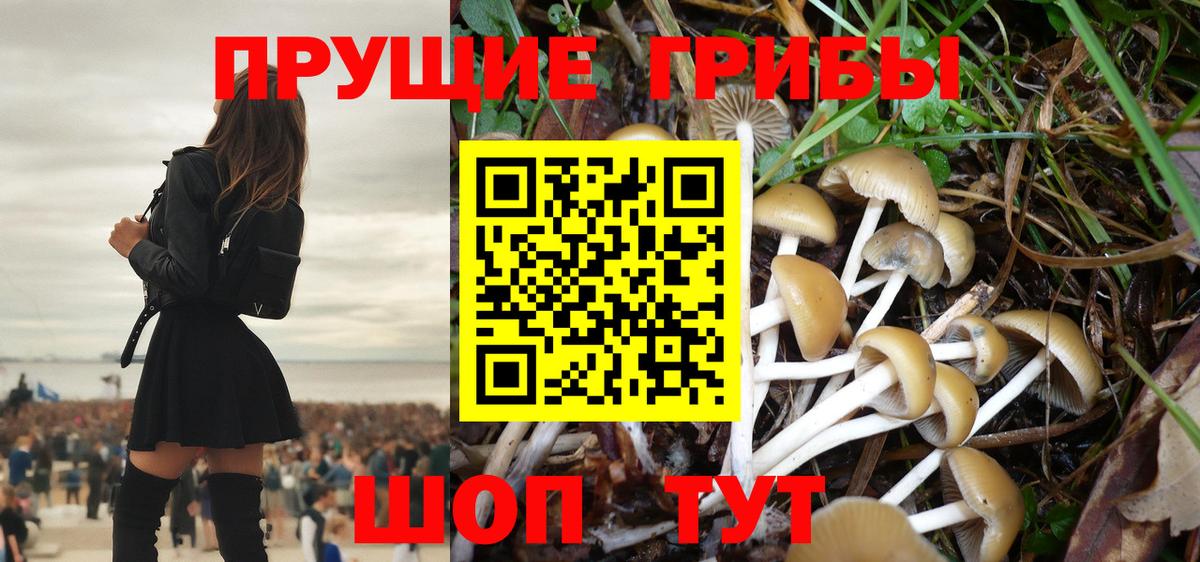 Псилоцибиновые грибы Magic Shrooms Гагарин