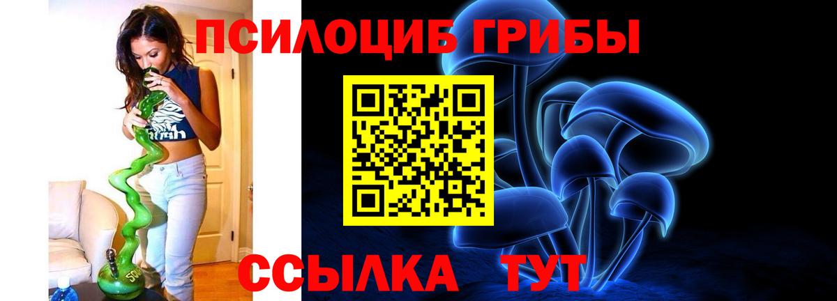 Гагарин  Галлюциногенные грибы GOLDEN TEACHER  Вход с VPN 